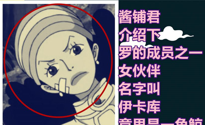 海贼王1015话,强巴鲁与伊卡库救下海中的路飞,罗的援军登场