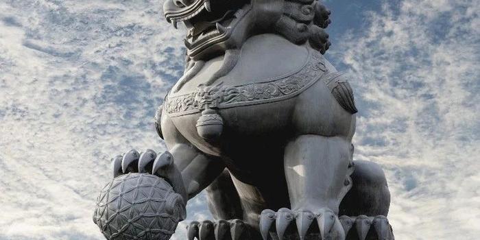中国这一经验“俄罗斯非常感兴趣”!_手机新浪网