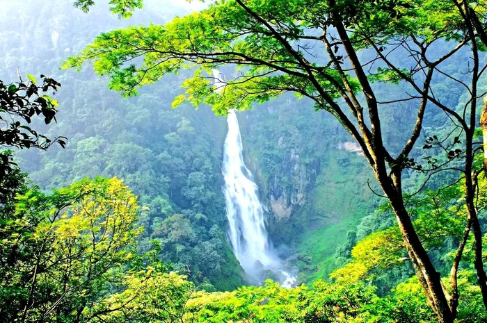 哀牢山风光 潘泉 摄