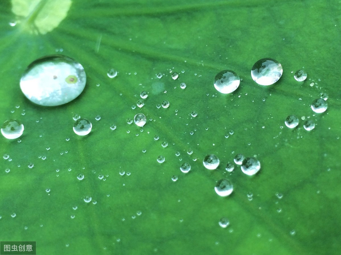 夏天的雨，落在故事里，带来别样的美丽|夏雨|细雨|回风|鸣蝉|静守_新浪新闻