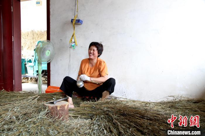 图为，前杜村村民吕爱香在制作扫帚。　孙宏瑗 摄