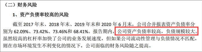 紫光集团财报截图