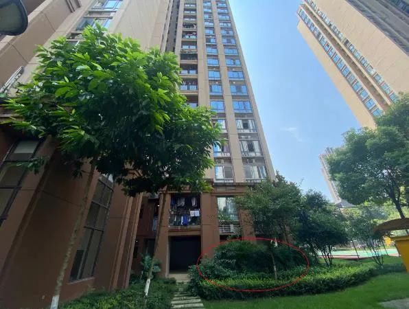 ▲2020年11月2日，2名幼童从重庆南岸区锦江华府4栋15楼坠下（红圈处），检方指控孩子父亲涉嫌故意杀人。澎湃新闻记者 谢寅宗 图