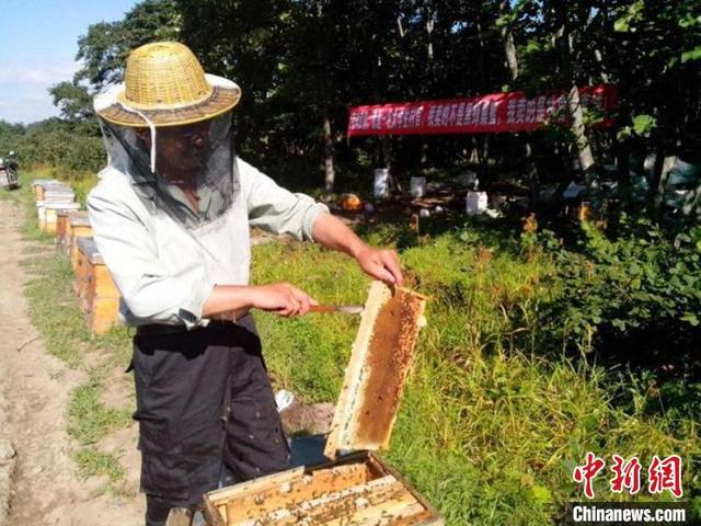 吉林珲春养蜂人。（资料图） 珲春市委宣传部供图