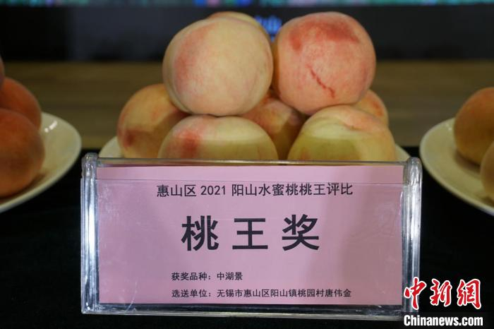 阳山镇桃园村唐伟金选送的中湖景获得了2021阳山水蜜桃“桃王”的称号。　孙权 摄