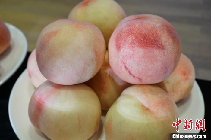 获得“桃王”奖项的水蜜桃样品。　孙权 摄