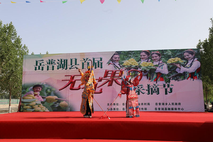 岳普湖县首届无花果采摘节活动现场，精彩的文艺演出。央广网发