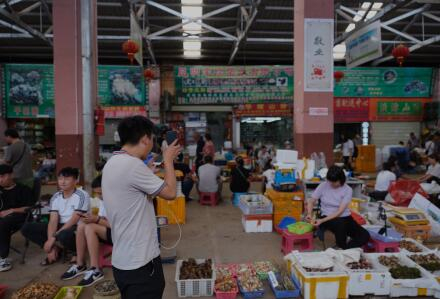 “走播”买手在推销野生菌（央广网记者兰庆枫摄）