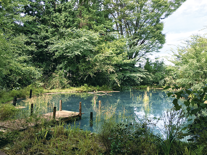 目［mé］，《元素检测》，原埼玉县民俗博物馆，埼玉三年展2016