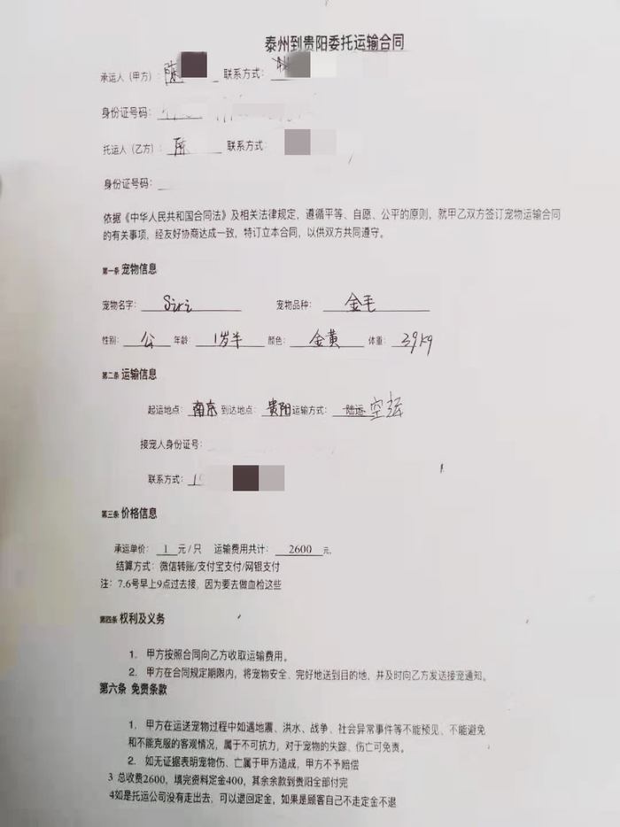 陈女士提供的与“帮帮国际宠物托运公司”的合同，图片由陈女士提供