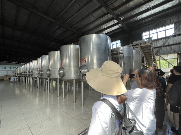 诺丽果加工现场。央广网记者 蔡文娟 摄