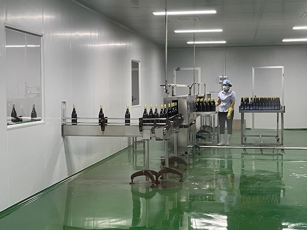 诺丽果加工现场。央广网记者 蔡文娟 摄