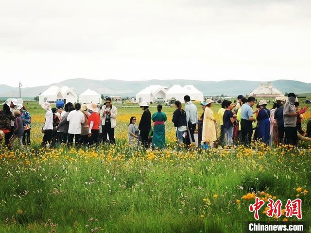 图为金莲川草原游人如织。　管永新 摄