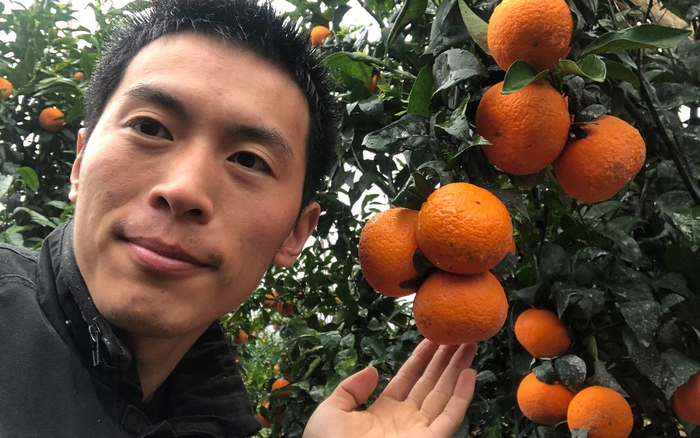 　任海龙现在开始帮果农卖水果。受访者供图