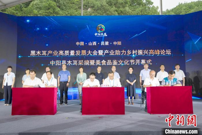 签约仪式。　张云 摄