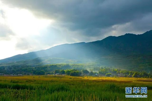 腾冲北海湿地 段其集 摄