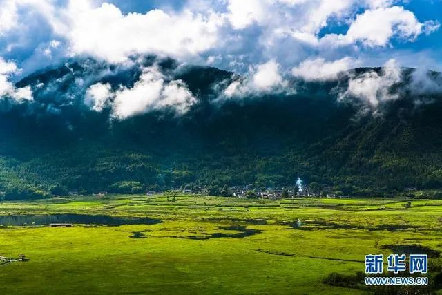 湿地中的草排 李恒宇 摄