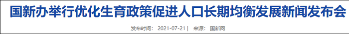 国新办网站截图