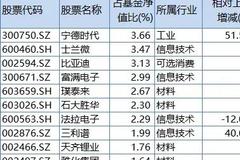 冯明远、王宗合、袁芳等明星基金经理最新重仓股曝光