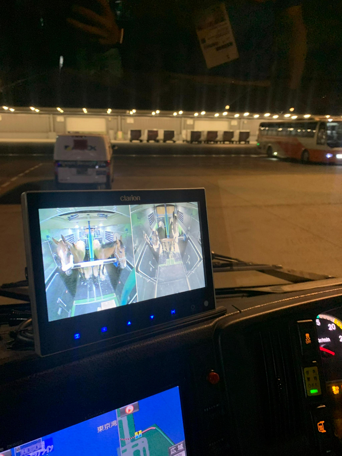 空运运马箱实时监测。