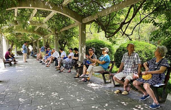 图说：紫藤叶下避暑的市民 种楠 摄