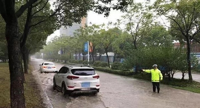 宁波交警供图