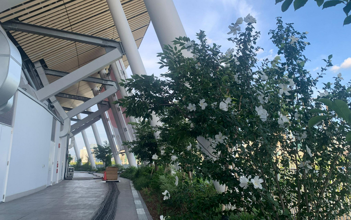 新国立竞技场的空中步道。新京报记者&nbsp;孙海光&nbsp;摄