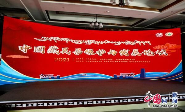 “中国藏民居保护与发展论坛”活动现场。中国网记者 仝选 摄