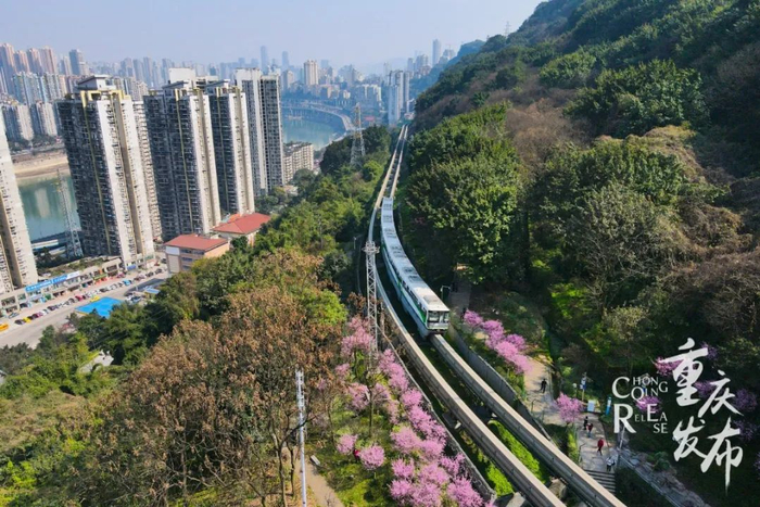 重庆轨道交通（资料图） 邹乐 摄