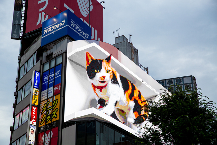 东京新宿站的3D大花猫