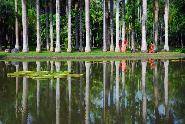 棕榈园 图源：中国科学院西双版纳热带植物园官方网站