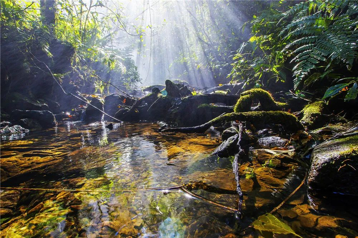 红河州委宣传部 供图