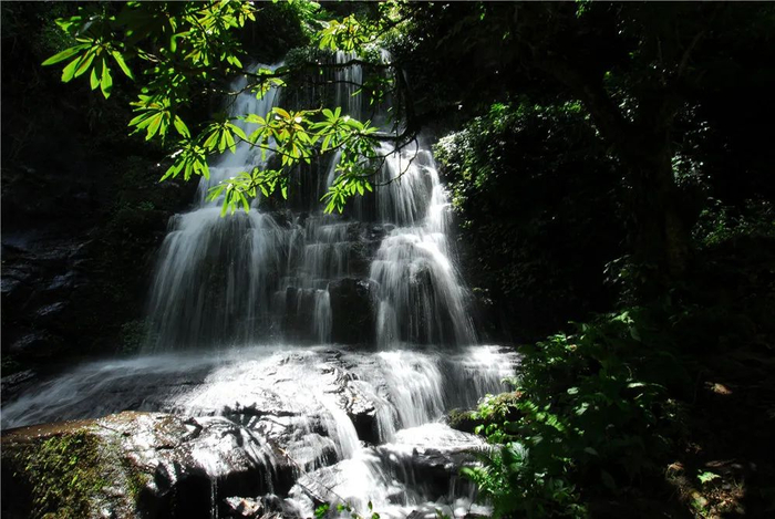 红河州委宣传部 供图