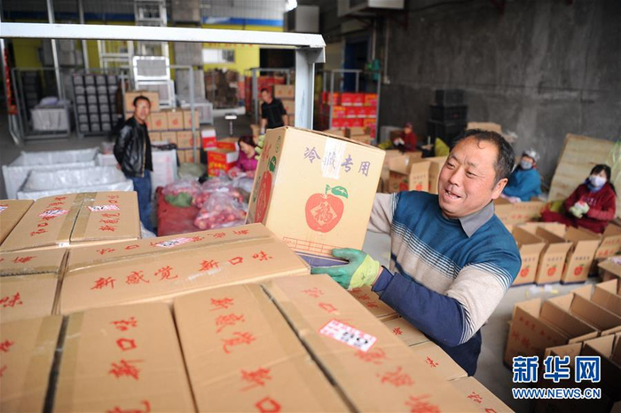 　　资料图：在延安市黄陵县隆坊镇上官村，工作人员将打包完成的苹果装车。新华社发（张博文摄）