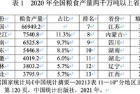 "中国粮仓"河南强降雨 谨防国际游资借机炒作粮价