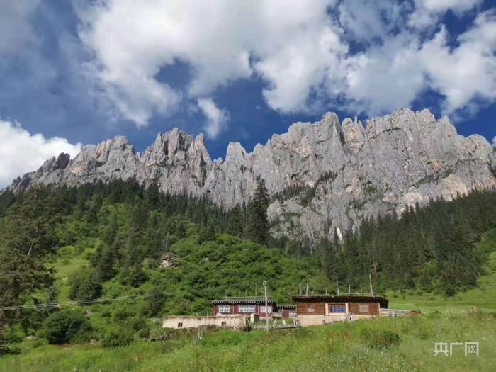 昌都雪巴沟自然景观（总台央广记者 陈怡 摄）