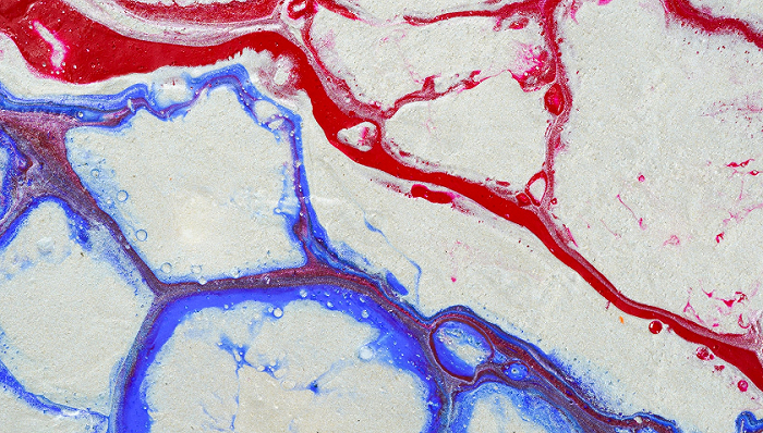 图片来源：Unsplash-FLY:D