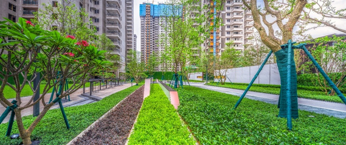 （南宁龙湖·春江天越园林实景图，企业供图，央广网发）