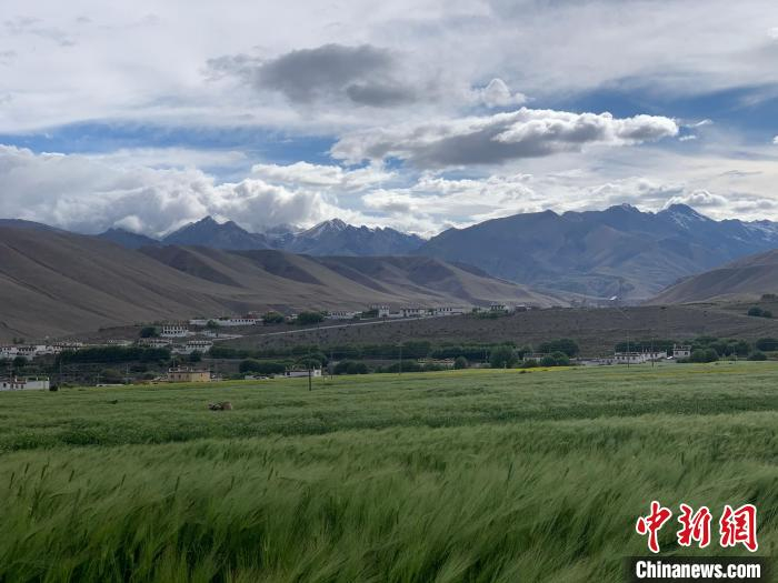 图为阿里地区普兰县远貌。　杨程晨 摄