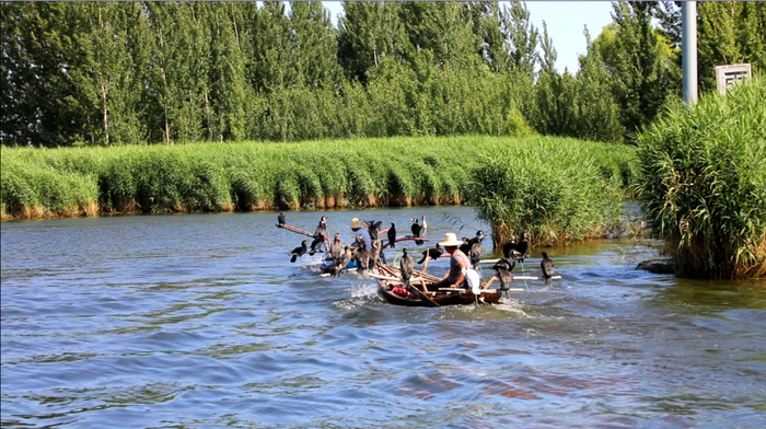 ▲“华北明珠”白洋淀 图/水利部海河水利委员会  凌峰 摄