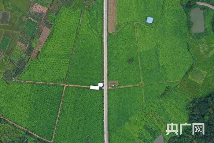 河头村航拍。（央广网记者 官文清摄）