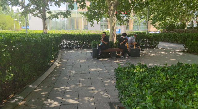 地铁东单站外林荫地抽烟的人