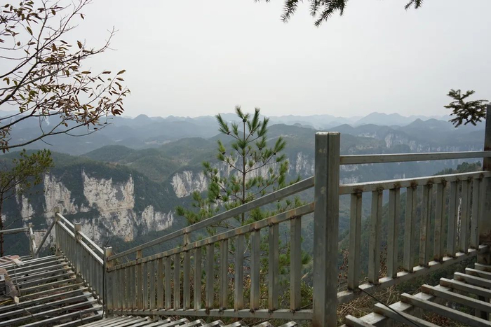 奉节修建中的观景平台 市农业农村委供图