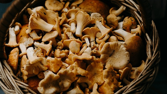 图片来源：pexels-Irina Iriser