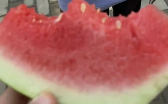 24日，关宏予吃到今夏最甜的西瓜。受访者供图