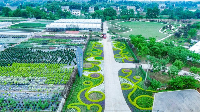 大足雍溪镇花卉园 市农业农村委供图