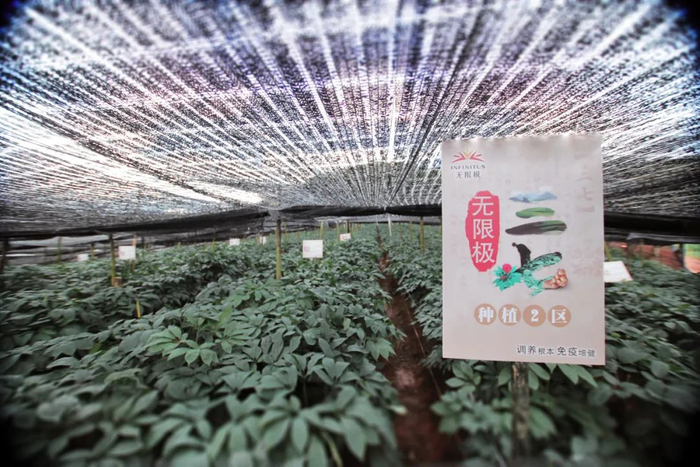 资料图 来源：无限极