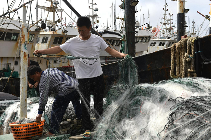海边粘鱼用什么网最好 海边下粘网捕鱼要用多大鱼网