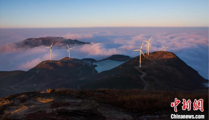 浙江电力清洁能源。　金伟波 摄