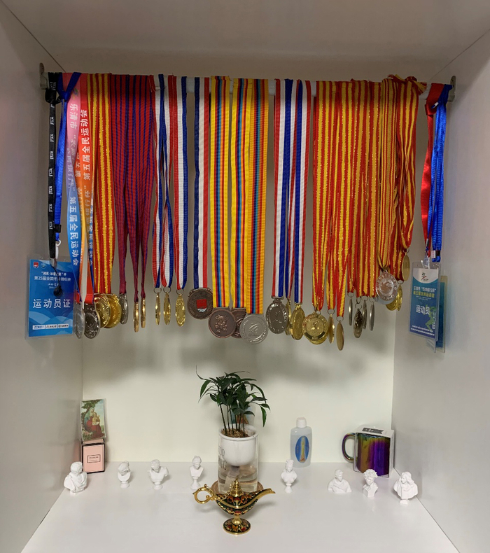 郑晓凯荣获的部分奖牌。
